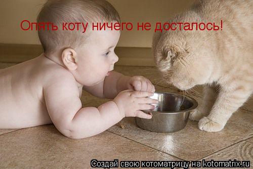 Опять коту ничего не досталось!... Котоматрица: Опять коту ничего не досталось!