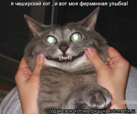 я чеширский кот , и вот моя фирменная улыбка!... Котоматрица: я чеширский кот , и вот моя фирменная улыбка!