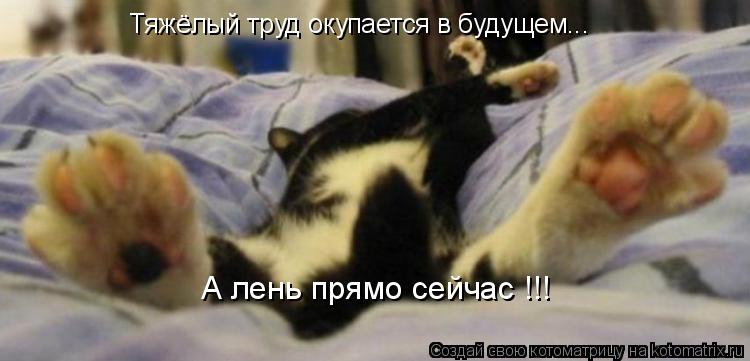 Тяжёлый труд окупается в будущем... А лень прямо сейчас !!!... Котоматрица: Тяжёлый труд окупается в будущем... А лень прямо сейчас !!!