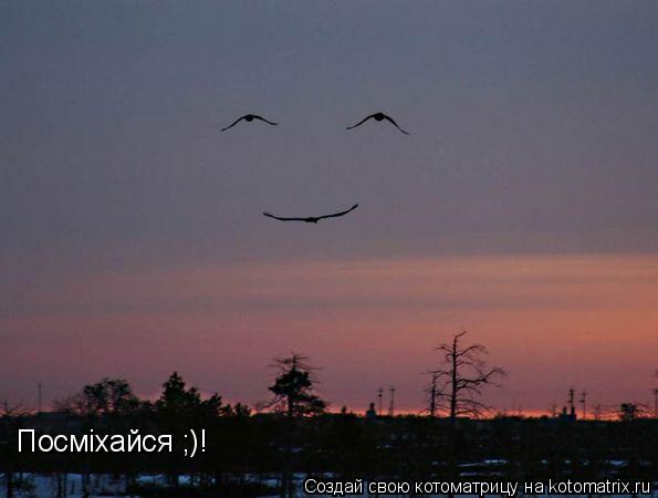 Посмiхайся ;)!... Котоматрица: Посмiхайся ;)!