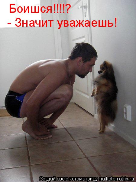Боишся!!!!? - Значит уважаешь!... Котоматрица: Боишся!!!!? - Значит уважаешь!