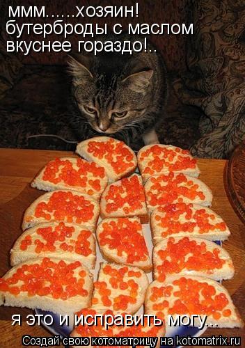 ммм......хозяин! бутерброды с маслом вкуснее гораздо!.. я это и исправить могу...... Котоматрица: ммм......хозяин! бутерброды с маслом вкуснее гораздо!.. я это и исправить могу...