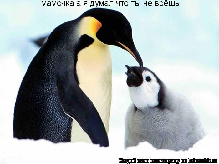 мамочка а я думал что ты не врёшь... Котоматрица: мамочка а я думал что ты не врёшь
