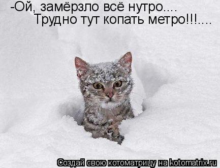 -Ой, замёрзло всё нутро.... Трудно тут копать метро!!!....... Котоматрица: -Ой, замёрзло всё нутро.... Трудно тут копать метро!!!....