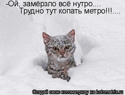 Котоматрица: -Ой, замёрзло всё нутро.... Трудно тут копать метро!!!....