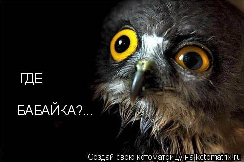 ГДЕ БАБАЙКА?...... Котоматрица: ГДЕ БАБАЙКА?...