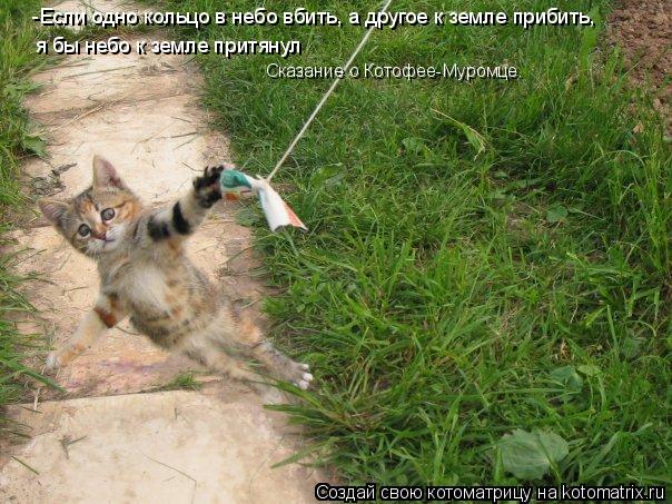 -Если одно кольцо в небо вбить, а другое к земле прибить, я бы небо к земле притянул Сказание о Котоф... Котоматрица: -Если одно кольцо в небо вбить, а другое к земле прибить, я бы небо к земле притянул Сказание о Котофее-Муромце.