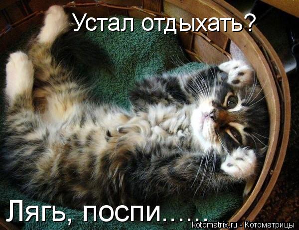 http://kotomatrix.ru/images/lolz/2009/04/01/V.jpg