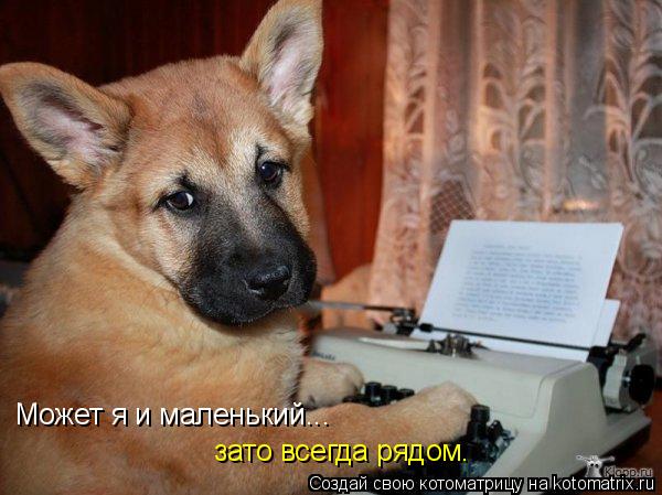 Может я и маленький... зато всегда рядом.... Котоматрица: Может я и маленький... зато всегда рядом.