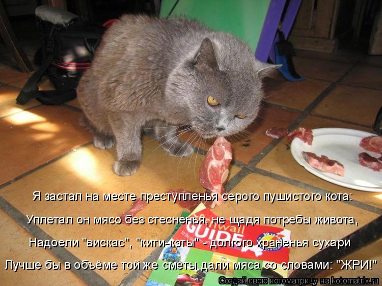 Я застал на месте преступленья серого пушистого кота: Уплетал он мясо без стесненья, не щадя потребы ... Котоматрица: Я застал на месте преступленья серого пушистого кота: Уплетал он мясо без стесненья, не щадя потребы живота, Лучше бы в объёме той же сметы д