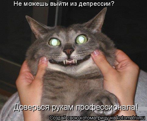 Не можешь выйти из депрессии? Доверься рукам профессионала!... Котоматрица: Не можешь выйти из депрессии? Доверься рукам профессионала!