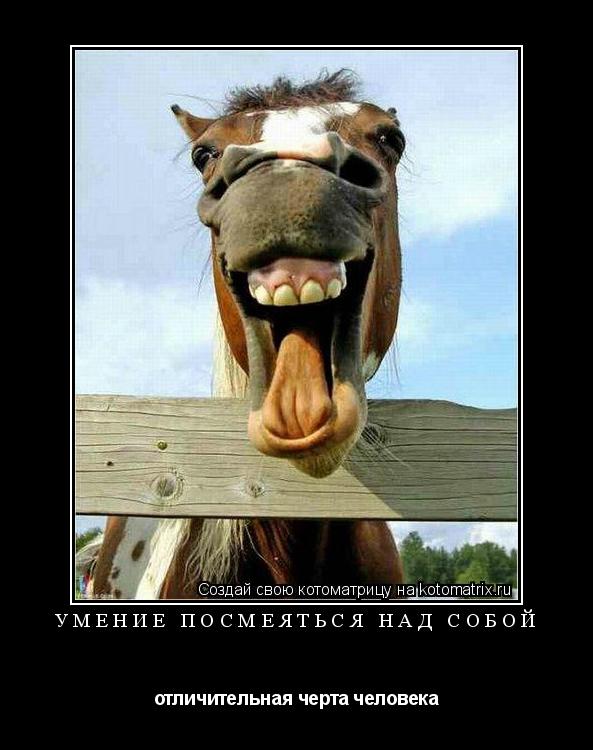 Умение посмеяться над собой отличительная черта человека... Котоматрица: Умение посмеяться над собой отличительная черта человека