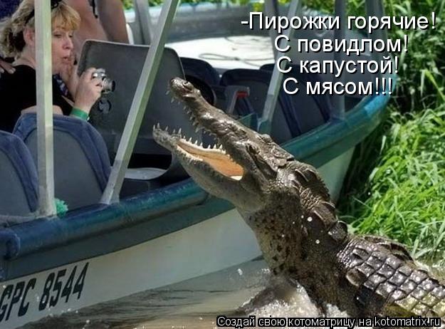 -Пирожки горячие! С повидлом! С капустой! С мясом!!!... Котоматрица: -Пирожки горячие! С повидлом! С капустой! С мясом!!!