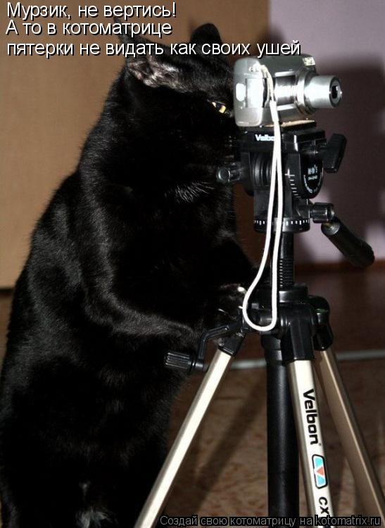 пятерки не видать как своих ушей Мурзик, не вертись! А то в котоматрице... Котоматрица: пятерки не видать как своих ушей Мурзик, не вертись! А то в котоматрице