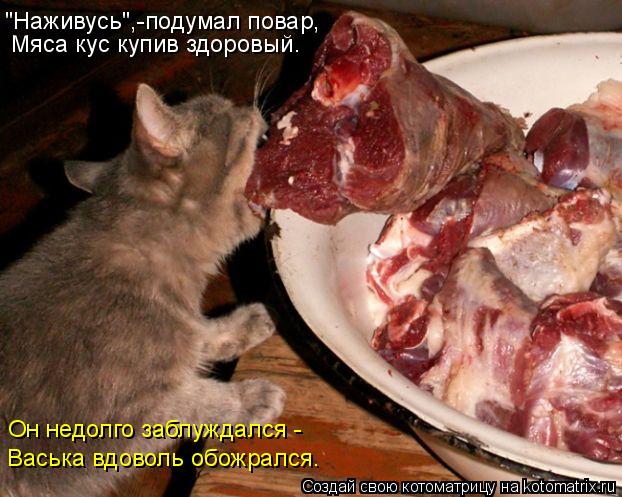 "Наживусь",-подумал повар, Мяса кус купив здоровый. Он недолго заблуждался - Васька вдоволь обожрался... Котоматрица: "Наживусь",-подумал повар, Мяса кус купив здоровый. Он недолго заблуждался - Васька вдоволь обожрался.