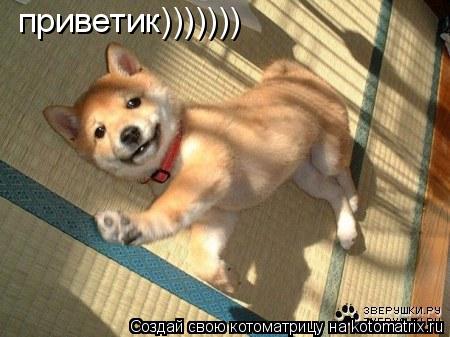 приветик)))))))... Котоматрица: приветик)))))))