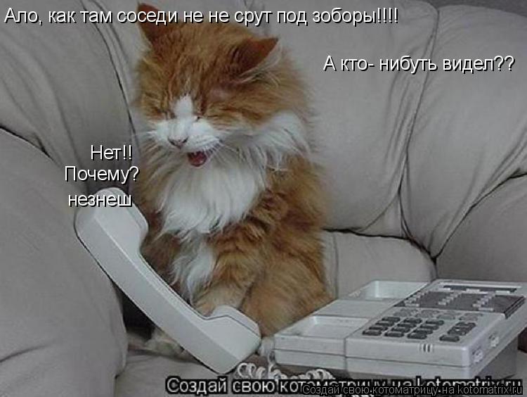 Ало, как там соседи не не срут под зоборы!!!! А кто- нибуть видел?? Нет!! Почему? незнеш... Котоматрица: Ало, как там соседи не не срут под зоборы!!!! А кто- нибуть видел?? Нет!! Почему? незнеш