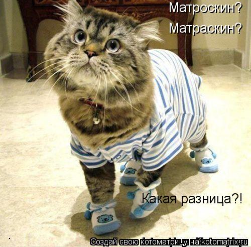 Матроскин? Матраскин? Какая разница?!... Котоматрица: Матроскин? Матраскин? Какая разница?!