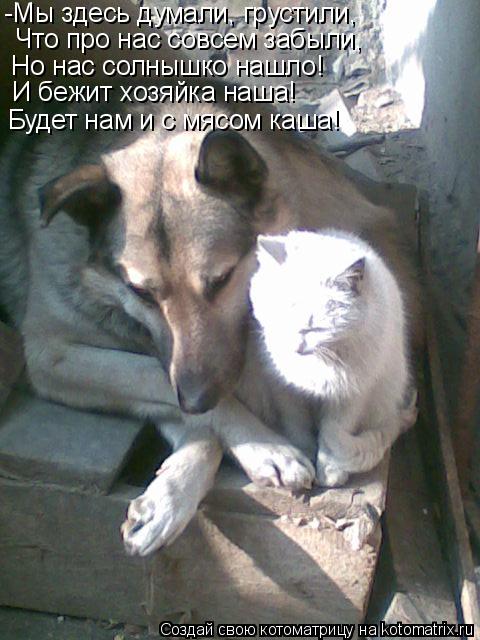 -Мы здесь думали, грустили, Что про нас совсем забыли, Но нас солнышко нашло! Будет нам и с мясом каш... Котоматрица: -Мы здесь думали, грустили, Что про нас совсем забыли, Но нас солнышко нашло! Будет нам и с мясом каша! И бежит хозяйка наша!