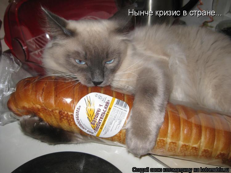 Нынче кризис в стране...... Котоматрица: Нынче кризис в стране...