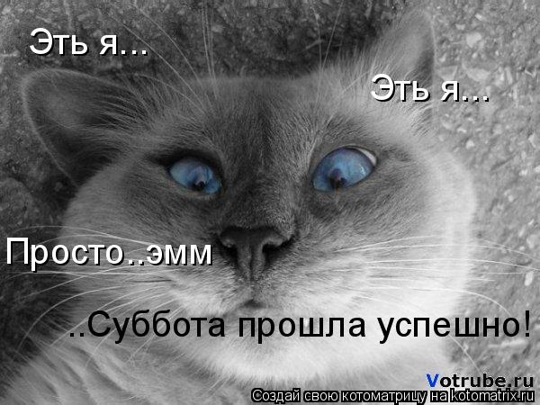 Эть я... Эть я... Просто..эмм ..Суббота прошла успешно!... Котоматрица: Эть я... Эть я... Просто..эмм ..Суббота прошла успешно!