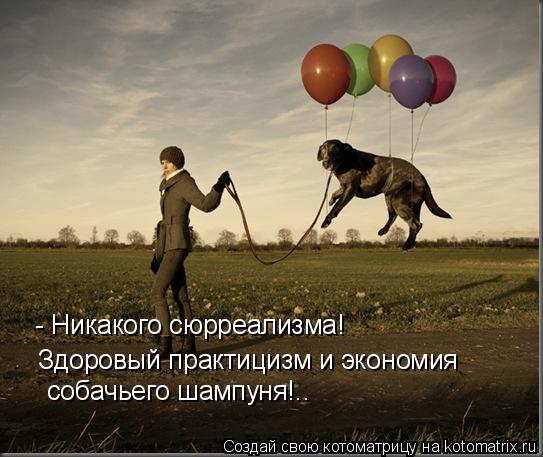 - Никакого сюрреализма! Здоровый практицизм и экономия собачьего шампуня!..... Котоматрица: - Никакого сюрреализма! Здоровый практицизм и экономия собачьего шампуня!..