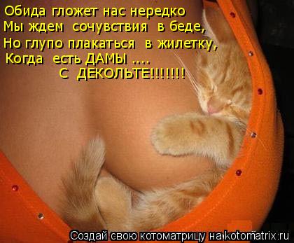 Обида гложет нас нередко Мы ждем сочувствия в беде, Но глупо плакаться в жилетку, Когда есть ДАМЫ... Котоматрица: Обида гложет нас нередко Мы ждем сочувствия в беде, Но глупо плакаться в жилетку, Когда есть ДАМЫ .... С ДЕКОЛЬТЕ!!!!!!!