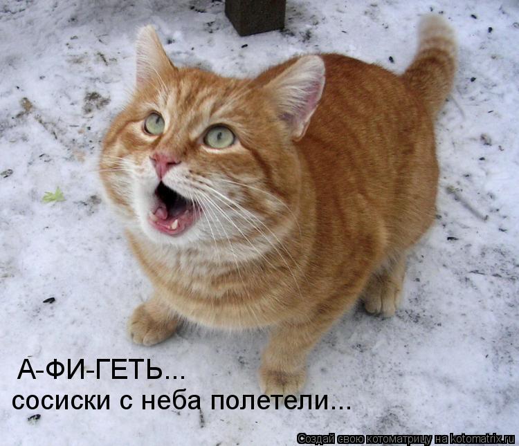 А-ФИ-ГЕТЬ... сосиски с неба полетели...... Котоматрица: А-ФИ-ГЕТЬ... сосиски с неба полетели...