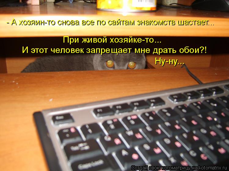 - А хозяин-то снова все по сайтам знакомств шастает... И этот человек запрещает мне драть обои?! Ну-н... Котоматрица: - А хозяин-то снова все по сайтам знакомств шастает... И этот человек запрещает мне драть обои?! Ну-ну... При живой хозяйке-то...