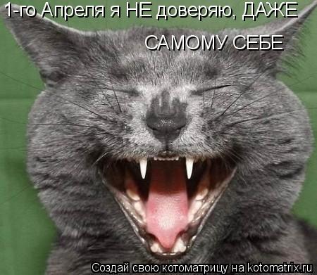 САМОМУ СЕБЕ 1-го Апреля я НЕ доверяю, ДАЖЕ... Котоматрица: САМОМУ СЕБЕ 1-го Апреля я НЕ доверяю, ДАЖЕ