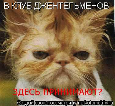 В КЛУБ ДЖЕНТЕЛЬМЕНОВ ЗДЕСЬ ПРИНИМАЮТ?... Котоматрица: В КЛУБ ДЖЕНТЕЛЬМЕНОВ ЗДЕСЬ ПРИНИМАЮТ?