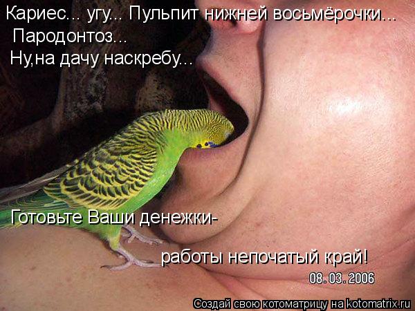 Кариес... угу... Пульпит нижней восьмёрочки... Пародонтоз... Ну,на дачу наскребу... Готовьте Ваши де... Котоматрица: Кариес... угу... Пульпит нижней восьмёрочки... Пародонтоз... Ну,на дачу наскребу... Готовьте Ваши денежки- работы непочатый край!