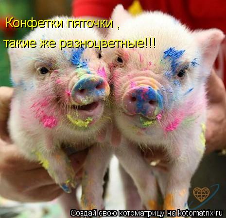 Конфетки пяточки , такие же разноцветные!!!... Котоматрица: Конфетки пяточки , такие же разноцветные!!!