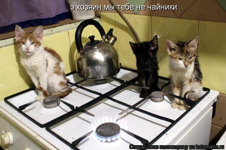 э хозяин мы тебе не чайники... Котоматрица: э хозяин мы тебе не чайники