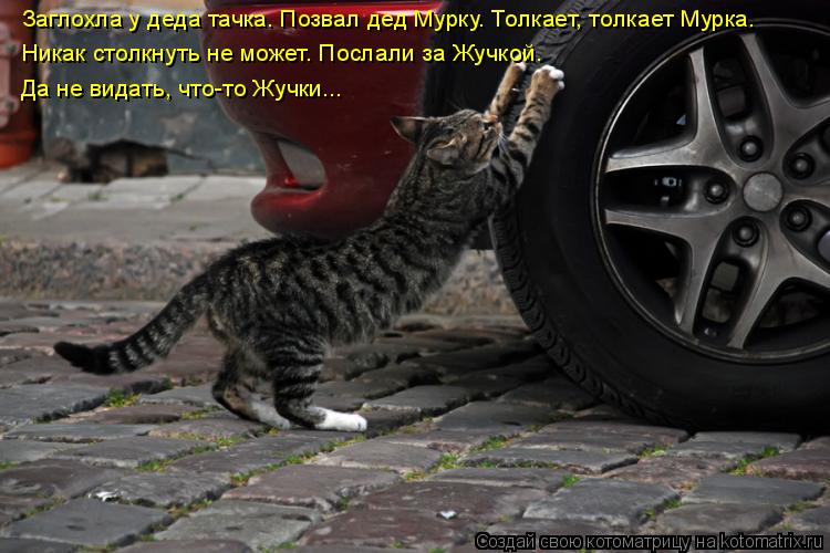 Заглохла у деда тачка. Позвал дед Мурку. Толкает, толкает Мурка. Никак столкнуть не может. Послали за... Котоматрица: Заглохла у деда тачка. Позвал дед Мурку. Толкает, толкает Мурка. Никак столкнуть не может. Послали за Жучкой. Да не видать, что-то Жучки...