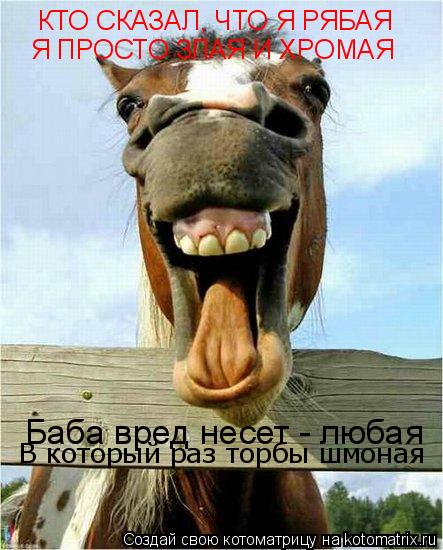 КТО СКАЗАЛ, ЧТО Я РЯБАЯ Я ПРОСТО ЗЛАЯ И ХРОМАЯ Баба вред несет - любая В который раз торбы шмоная... Котоматрица: КТО СКАЗАЛ, ЧТО Я РЯБАЯ Я ПРОСТО ЗЛАЯ И ХРОМАЯ Баба вред несет - любая В который раз торбы шмоная