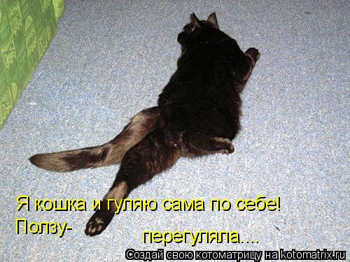 Я кошка и гуляю сама по себе! Ползу- перегуляла....... Котоматрица: Я кошка и гуляю сама по себе! Ползу- перегуляла....