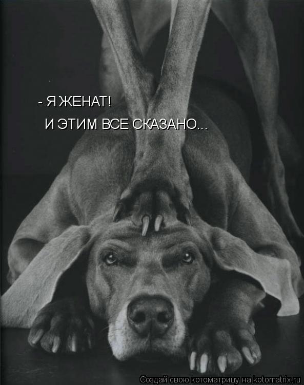 - Я ЖЕНАТ! И ЭТИМ ВСЕ СКАЗАНО...... Котоматрица: - Я ЖЕНАТ! И ЭТИМ ВСЕ СКАЗАНО...
