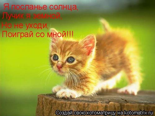 Я посланье солнца, Лучик я земной, Но не уходи, Поиграй со мной!!!... Котоматрица: Я посланье солнца, Лучик я земной, Но не уходи, Поиграй со мной!!!