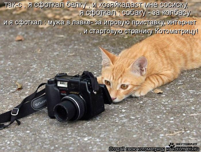 так-с , я сфоткал белку , и хозяйкадаст мне сосиску, я сфоткал : собаку - за колбасу и я сфоткал : м... Котоматрица: так-с , я сфоткал белку , и хозяйкадаст мне сосиску, я сфоткал : собаку - за колбасу и я сфоткал : мужа в лавке- за игровую приставку, интернет ,