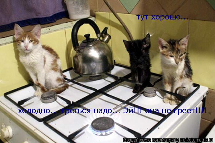 холодно... греться надо... Эй!!! она не греет!!!! тут хорошо...... Котоматрица: холодно... греться надо... Эй!!! она не греет!!!! тут хорошо...