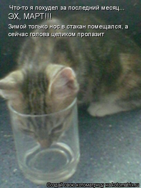 Что-то я похудел за последний месяц... ЭХ, МАРТ!!! Зимой только нос в стакан помещался, а сейчас гол... Котоматрица: Что-то я похудел за последний месяц... ЭХ, МАРТ!!! Зимой только нос в стакан помещался, а сейчас голова целиком пролазит