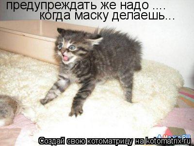 предупреждать же надо .... когда маску делаешь...... Котоматрица: предупреждать же надо .... когда маску делаешь...