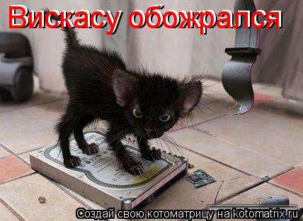 Вискасу обожрался Вискасу обожрался... Котоматрица: Вискасу обожрался Вискасу обожрался