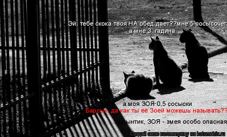 а мне 3..гадина а моя ЗОЯ 0,5 сосыски Эй, тебе скока твоя НА обед дает??мне 5 сосысочег Барсык, да ка... Котоматрица: а мне 3..гадина а моя ЗОЯ 0,5 сосыски Эй, тебе скока твоя НА обед дает??мне 5 сосысочег Барсык, да как ты её Зоей можешь называть?? Щпынтик, ЗОЯ - зм