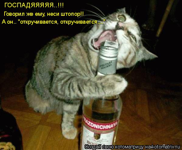ГОСПАДЯЯЯЯЯ..!!! Говорил же ему, неси штопор!! А он.. "откручивается, откручивается...."... Котоматрица: ГОСПАДЯЯЯЯЯ..!!! Говорил же ему, неси штопор!! А он.. "откручивается, откручивается...."