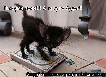 Покорми меня!!!! А то хуже будет!!!... Котоматрица: Покорми меня!!!! А то хуже будет!!!