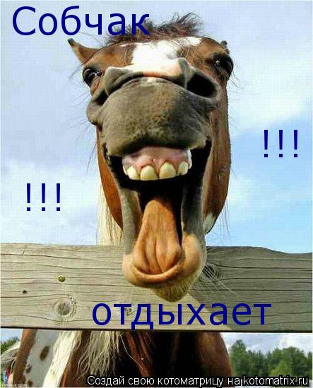 Собчак отдыхает !!! !!!... Котоматрица: Собчак отдыхает !!! !!!