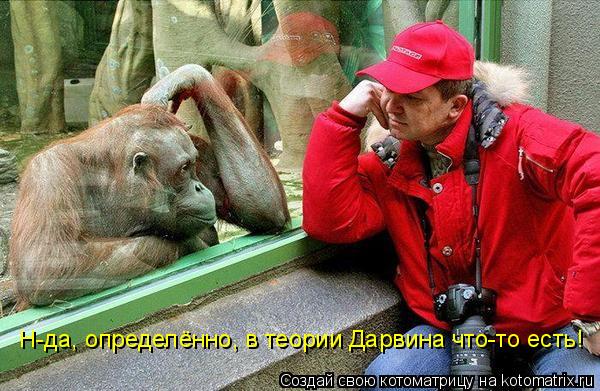 Н-да, определённо, в теории Дарвина что-то есть!... Котоматрица: Н-да, определённо, в теории Дарвина что-то есть!