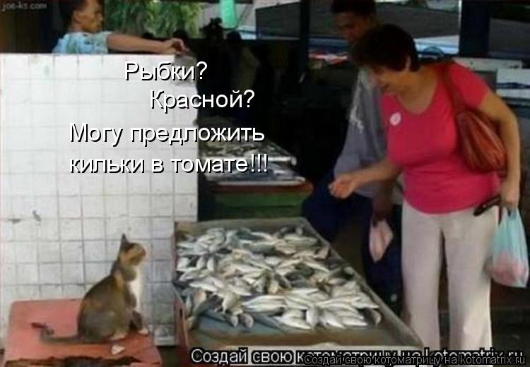 Рыбки? Красной? Могу предложить кильки в томате!!!... Котоматрица: Рыбки? Красной? Могу предложить кильки в томате!!!